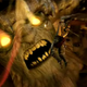 Illustration for article titled Dantes Inferno Trailer